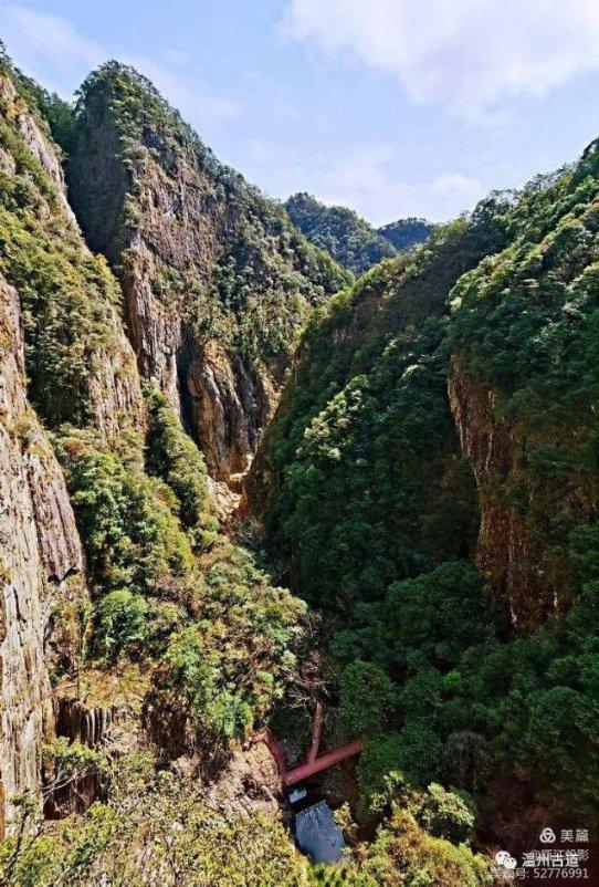 南财观察丨乘风“南下”香港的内地新餐饮，挤进了最旺商圈